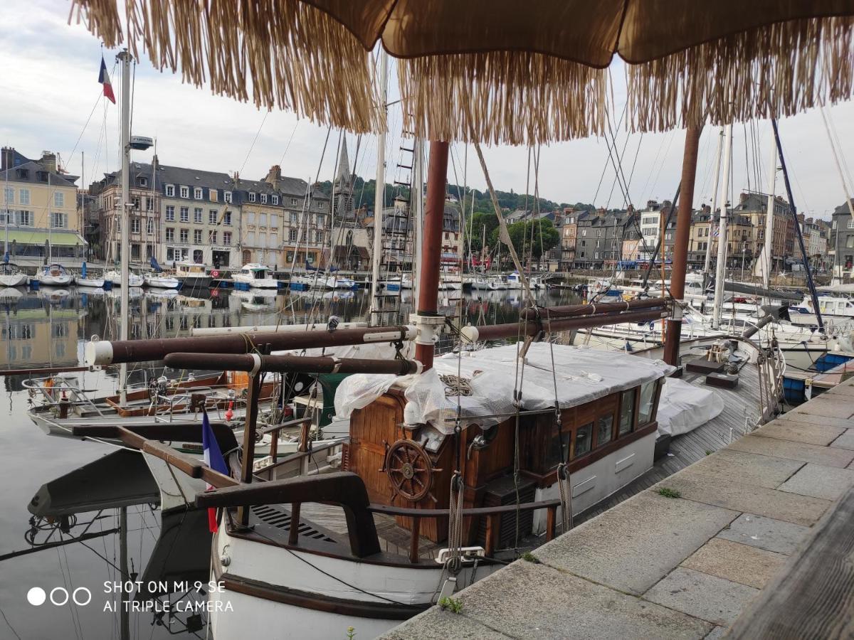 Proche Honfleur Gite Avec Piscine Équemauville Exterior foto